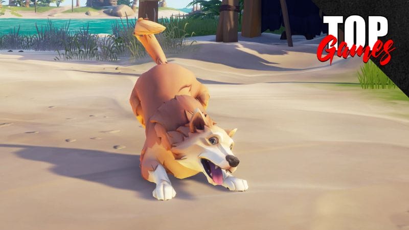 sea of thieves come rinominare gli animali cane