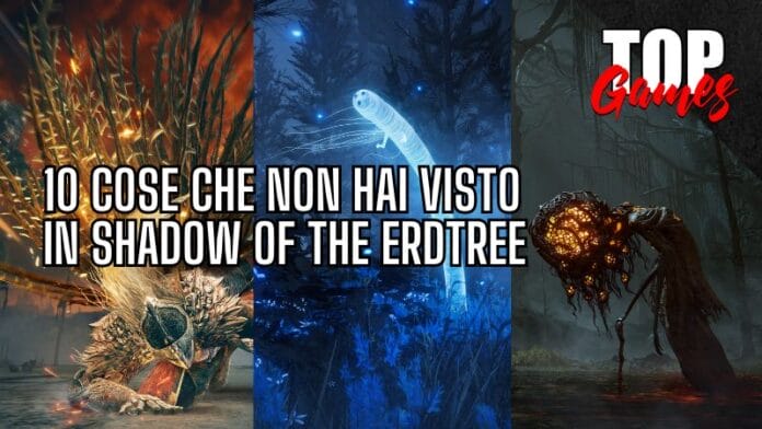 SHADOW of the ERDTREE cover