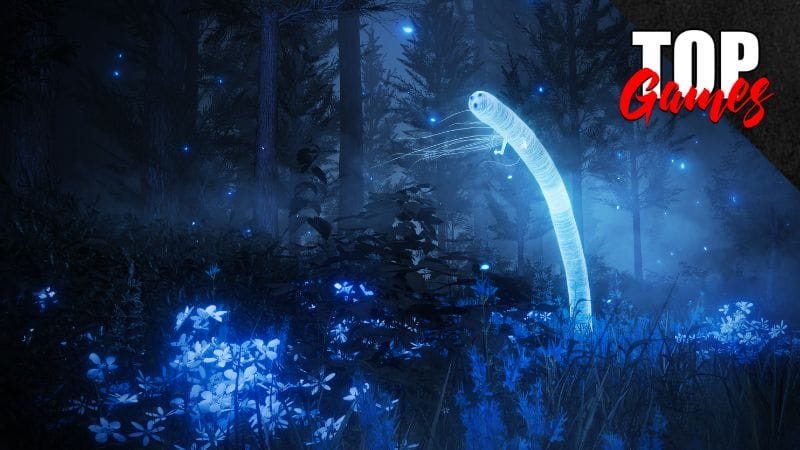 SHADOW of the ERDTREE level